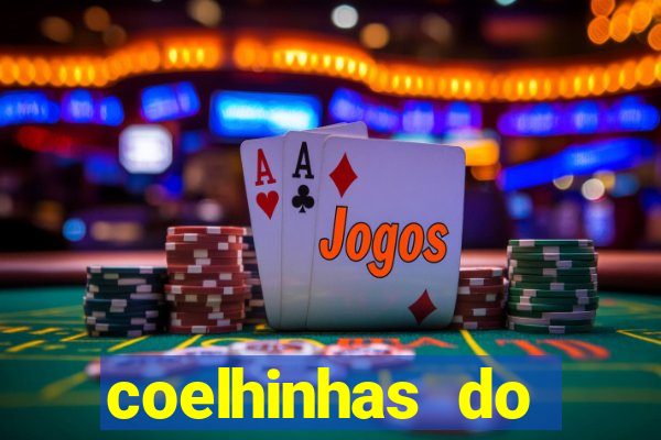 coelhinhas do brasil recife